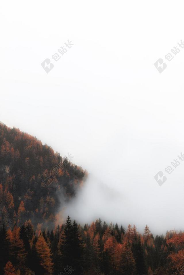 风景 风光 美景 田园 山水  丽人 优雅 美丽 漂亮 女孩 女人 女性 墙 围墙 表面 隔阂 背景  山 山峰 顶峰 景色 秋天 秋日 自然 环境 云 云朵 天空 树 树木 树林 森林 山 山峦 山峰