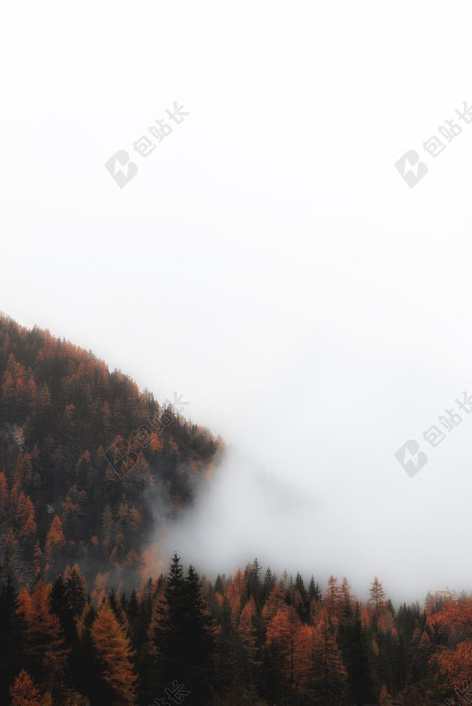 风景 风光 美景 田园 山水  丽人 优雅 美丽 漂亮 女孩 女人 女性 墙 围墙 表面 隔阂 背景  山 山峰 顶峰 景色 秋天 秋日 自然 环境 云 云朵 天空 树 树木 树林 森林 山 山峦 山峰