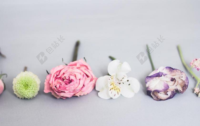 桌子上彩色的鲜花背景图片