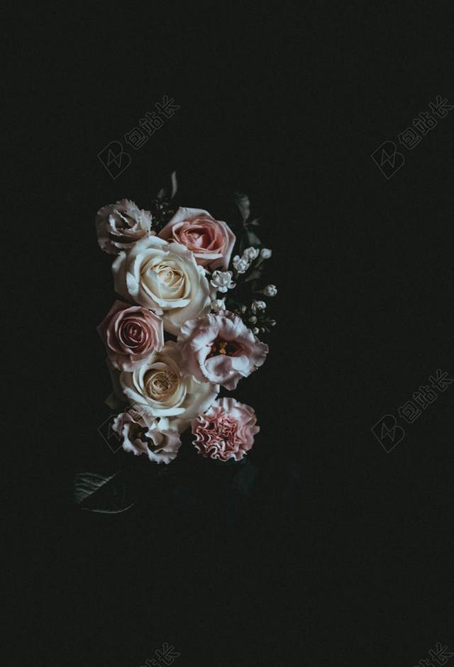 花 玫瑰 美丽 花朵 灯光 光线 激光 打火机  丽人 优雅 美丽 漂亮 女孩 女人 女性 派对 聚会 庆祝 愉快 帮派 房间 卧室 家 休闲 家居 夏日 夏季 热情 可爱的 自然 环境 树 树木 树林 森林 白色 浅色 黑白 简单 清新 黑色 暗色 黑白 昏暗