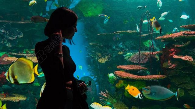 美丽的海鱼和女人背景图片