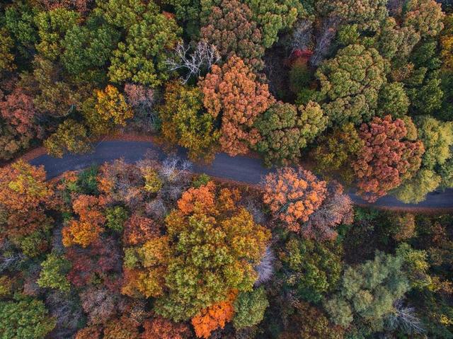 风景 风光 美景 田园 山水 道路 旅途 路途 户外 街道 公路  丽人 优雅 美丽 漂亮 女孩 女人 女性  自然 环境 树 树木 树林 森林