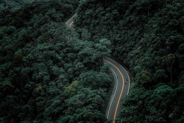 旅游自然户外骑自行车穿梭树林背景图片