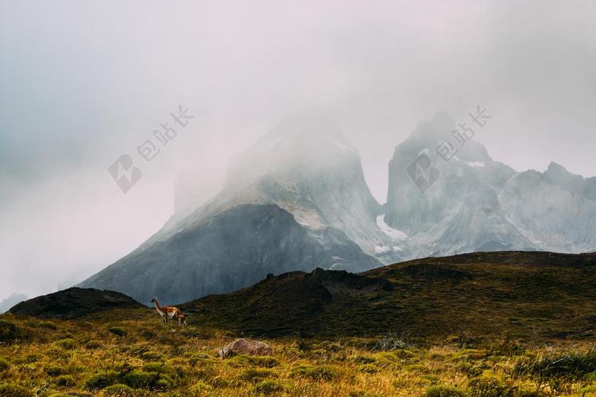 风景 风光 美景 田园 山水 山 山峰 顶峰 景色  茶 饮茶 茶叶 茶文化 天空 自然 环境