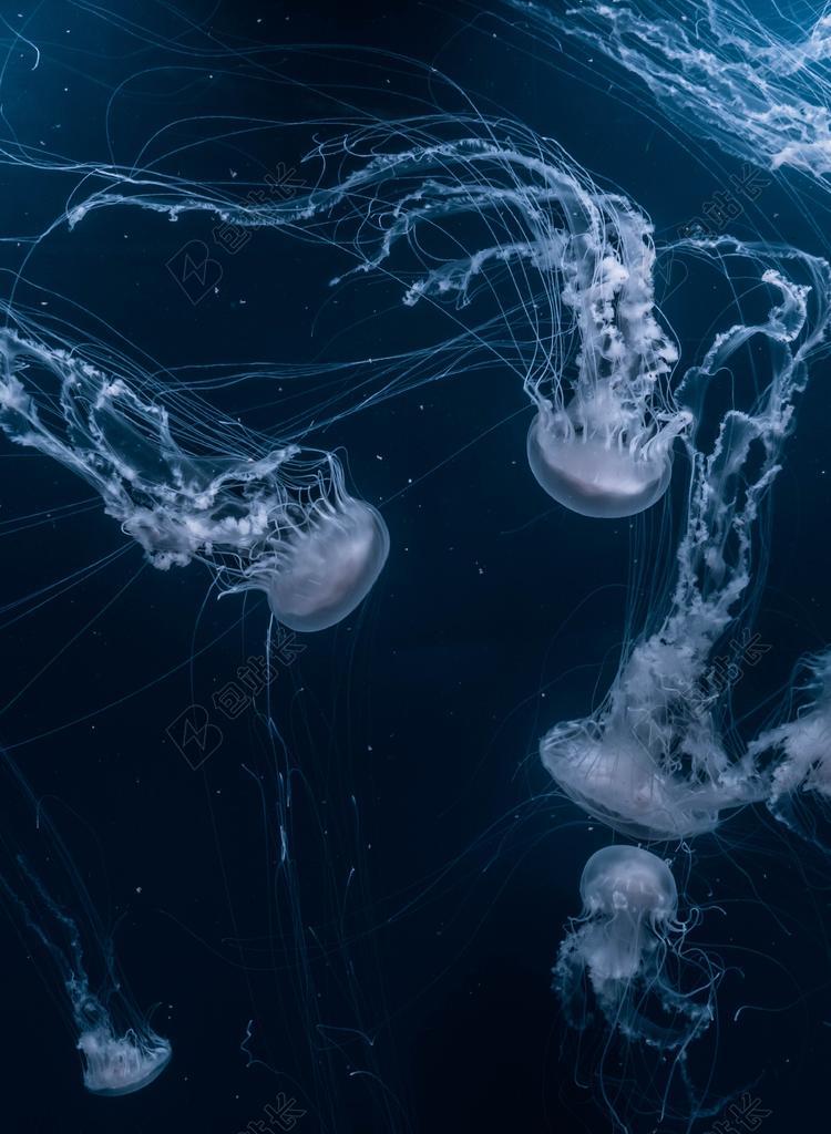 商务 商人 电子商务 股票交易所 业务 工作 工作中 工作 办公室 会议 职场 会议 会晤 见面 约会 遇见 商务 办公室 工作室 工作 职场      太空 空间 风景 风光 美景 田园 山水 地球 泥土 草地 操场  丽人 优雅 美丽 漂亮 女孩 女人 女性 墙 围墙 表面 隔阂 背景 纹理 组织 材料 花纹  创意 艺术 个性 运动  嬉戏 户外运动 冒险  房间 卧室 家 休闲 家居 旅行 旅游 行程 度假 休闲 度假 假日 房子 房间 住宅 肖像 人物特写 灯光 光线 激光 打火