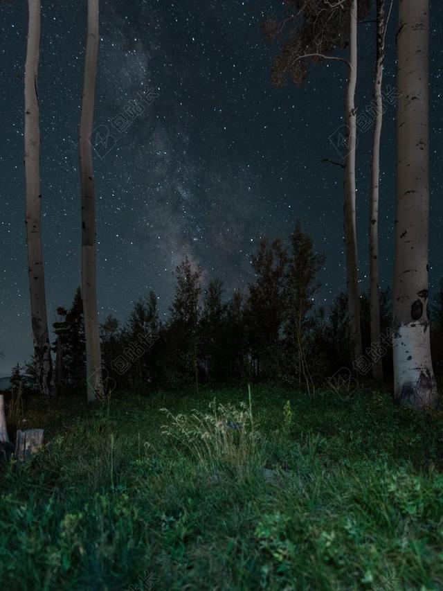 星空 星星 闪光 明星       星空 太空 空间  夜晚 晚上 黑夜 黑暗 灯光 霓虹灯 风景 风光 美景 田园 山水 灯光 光线 激光 打火机  天空 草地 草坪 草丛 自然 环境  云 云朵 天空 树 树木 树林 森林