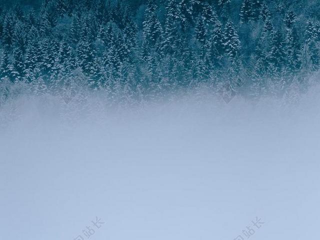 太空 空间  风景 风光 美景 田园 山水 地球 泥土 草地 操场 纹理 组织 材料 花纹 旅行 旅游 行程 度假 休闲 度假 假日 冬季 冬天 新年 母亲 母爱 树木 丛林 森林  自然 环境 活力 树 树木 树林 森林