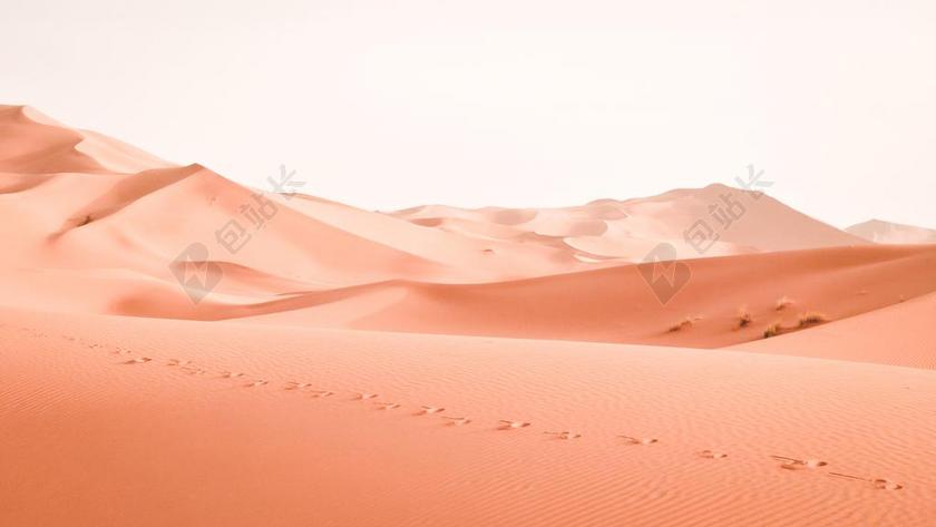 无人的黄色沙漠背景图片