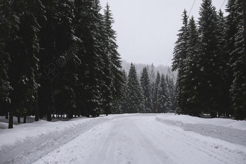 风景 风光 美景 田园 山水 道路 旅途 路途 户外 街道 公路 冬季 冬天 新年 树木 丛林 森林 树 树木 树林 森林 白色 浅色 黑白 简单 清新 黑色 暗色 黑白 昏暗 山 山峦 山峰
