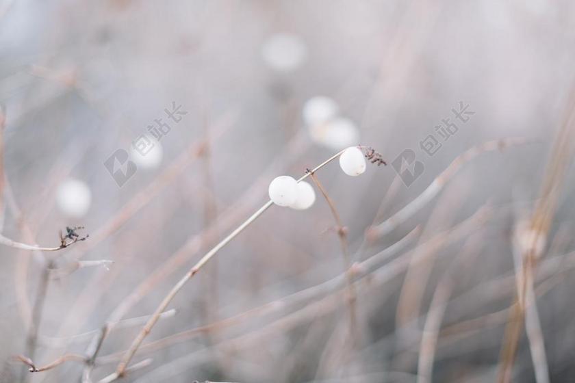 谈话 交流 对话 沟通 通话 农场 农田 庄园 城市 都市 时尚 现代化 冬季 冬天 新年 草地 草坪 草丛 自然 环境  人群 风土人情