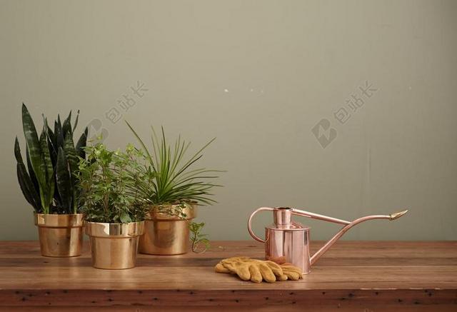 桌子上的金属水壶和盆栽背景图片