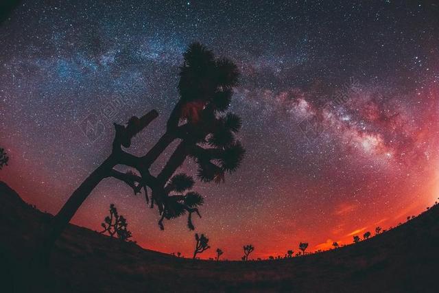 星空 星星 闪光 明星    星空 太空 空间  风景 风光 美景 田园 山水 夜晚 晚上 黑夜 黑暗 灯光 霓虹灯  旅行 旅游 行程 度假 休闲 度假 假日 天空 树木 丛林 森林  自然 环境 树 树木 树林 森林 活力