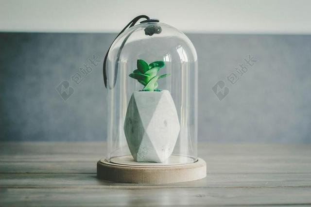太空 空间 花 玫瑰 美丽 花朵  地球 泥土 草地 操场  丽人 优雅 美丽 漂亮 女孩 女人 女性 健康 绿色食品 环保 营销 推广 商务 市场 策划 复古 酿酒 古典 收获  爱情 恋爱 恋人 情人 情侣 浪漫 室内 室内装修 装潢 艺术设计 家装 桌子 台子 书桌 办公 家 家园 家居 故乡 美丽 休闲  现代 现代化 流行 可爱的 人物 人群 风土人情