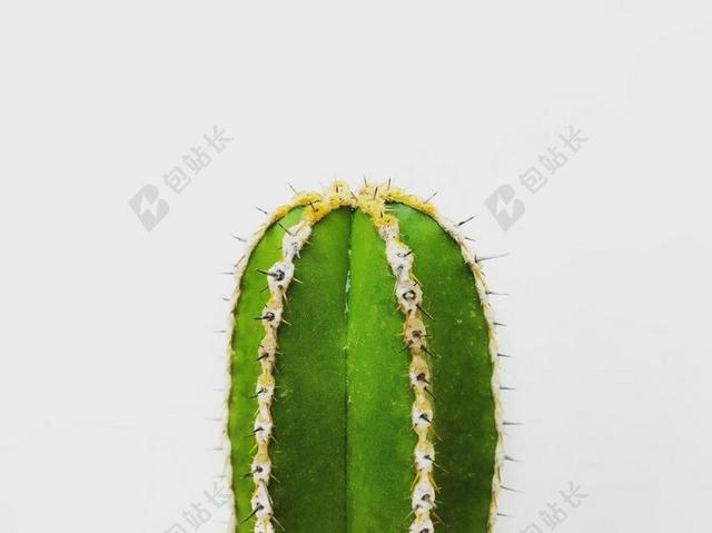 太空 空间 花 玫瑰 美丽 花朵  丽人 优雅 美丽 漂亮 女孩 女人 女性 灯光 光线 激光 打火机   饭店 旅馆 旅店 出差 旅游 开心 喜悦 笑话 开怀大笑  室内 室内装修 装潢 艺术设计 家装 家 家园 家居 故乡 美丽 休闲 肖像 特写 画像  书 书籍 阅读 清新 新鲜  自然 环境 全身像  活力 IPHONE 苹果 苹果手机 商务