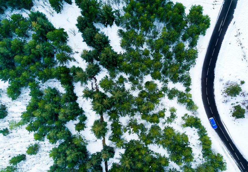 汽车 车 小汽车 轿车 跑车 道路 旅途 路途 户外 街道 公路 地球 泥土 草地 操场 旅行 旅游 行程 度假 休闲 度假 假日 冬季 冬天 新年 树木 丛林 森林 树 树木 树林 森林 活力