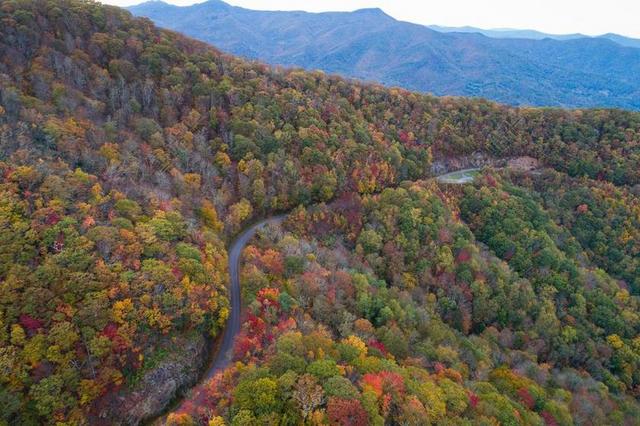 风景 风光 美景 田园 山水 道路 旅途 路途 户外 街道 公路 山 山峰 顶峰 景色 树木 丛林 森林  秋天 秋日 自然 环境 树 树木 树林 森林 山 山峦 山峰