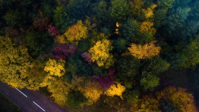 道路 旅途 路途 户外 街道 公路 风景 风光 美景 田园 山水 美女 丽人 优雅 美丽 漂亮 女孩 女人 女性 旅行 旅游 行程 度假 休闲 度假 假日  天空  秋天 秋日 自然 环境 树 树木 树林 森林