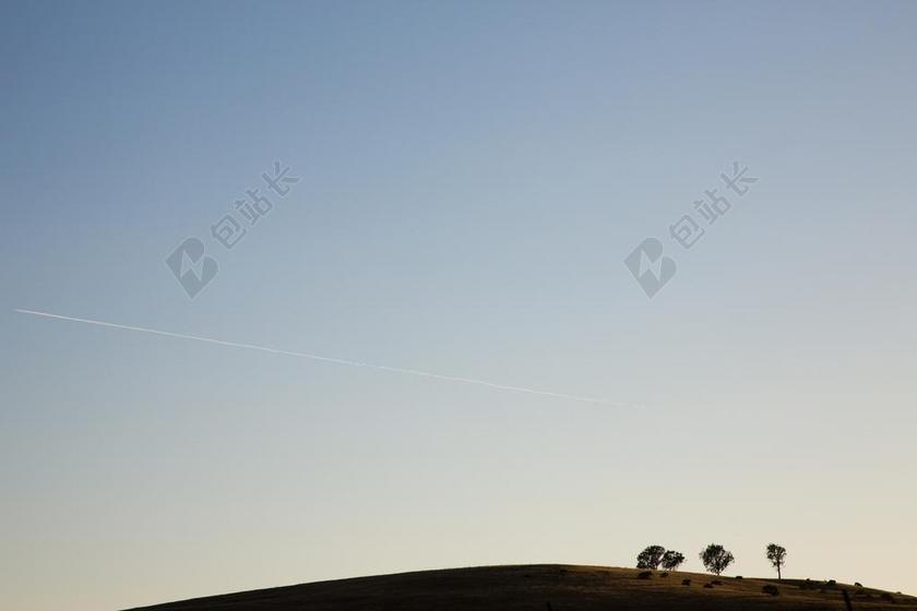 日落 夕阳 太阳 天空 树木 丛林 森林  树 树木 树林 森林