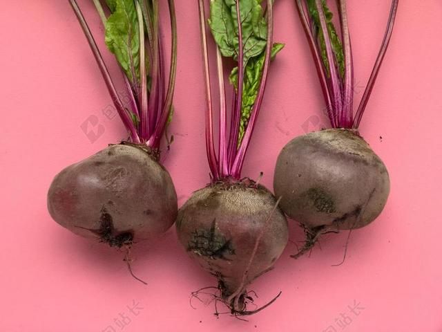 灯光 光线 激光 打火机 花园 园林 园艺 植物 花 水果 果实 健康 绿色食品  美食 食品 餐饮 饮料 喝酒 饮水 蔬菜 素食 素食主义 绿色食品