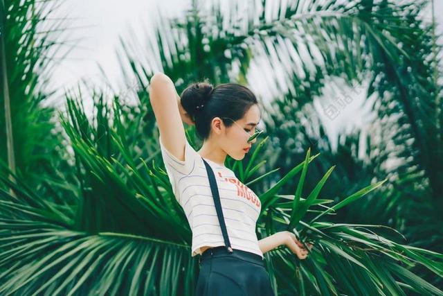 绿色的棕榈树和女人背景图片