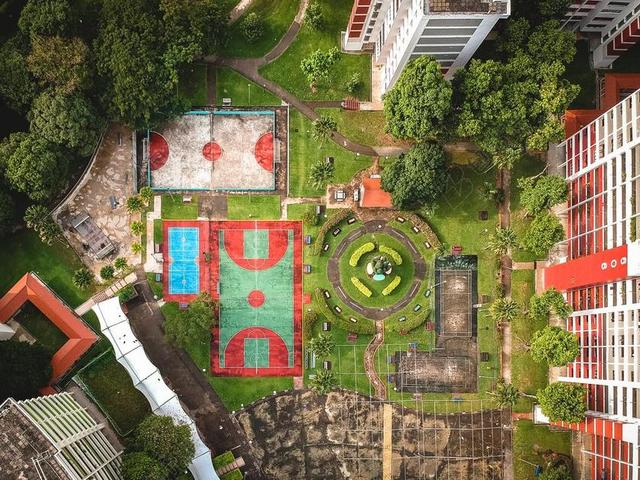 建筑 大厦 建筑物 建设 运动 健身 嬉戏 户外运动 冒险 瑜伽 冒险 探险 远足 度假 旅游 休闲 挑战 极限运动 花园 园林 园艺 植物 花 天空 树木 丛林 森林 活力