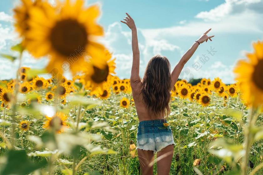 金色的向日葵和赤裸的女人背景图片