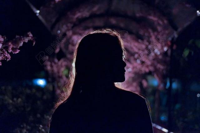 风景 风光 美景 田园 山水 夜晚 晚上 黑夜 黑暗 灯光 霓虹灯 花  美丽 花朵 旅行 旅游 行程 度假 休闲 度假 假日 女孩 少女 姑娘 美丽 自然 环境