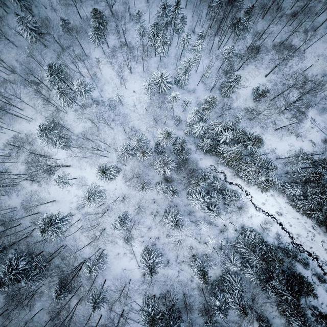 风景 风光 美景 田园 山水  地球 泥土 草地 操场  肖像 人物特写 画像 树木 丛林 森林 自然 环境 全身像 树 树木 树林 森林
