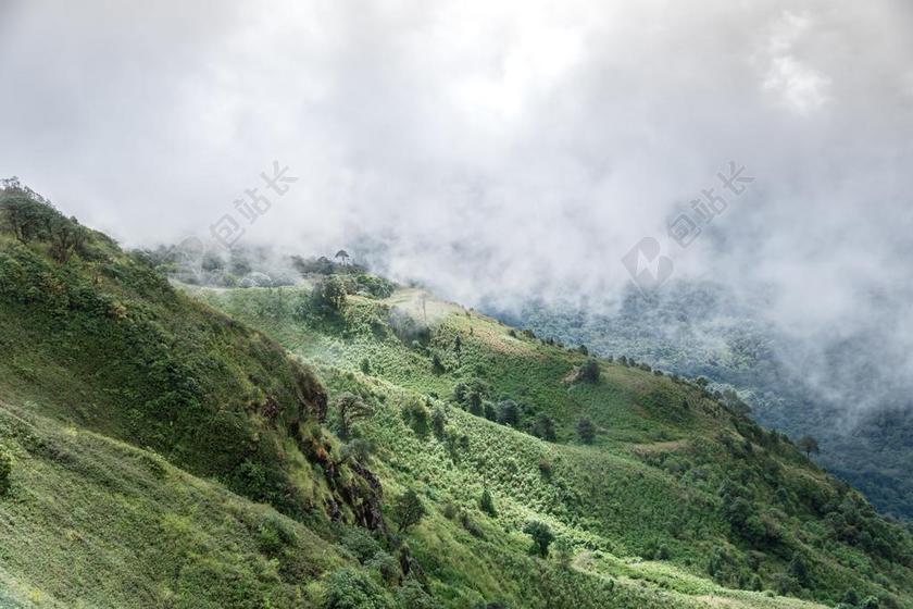 风景 风光 美景 田园 山水 山 山峰 顶峰 景色  树木 丛林 森林 草地 草坪 草丛 自然 环境 云 云朵 天空 树 树木 树林 森林