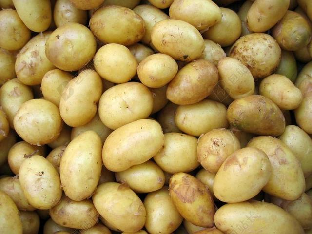 农场 农田 庄园 营销 推广 商务 市场 策划 水果 果实 健康 绿色食品 美食 食品 餐饮