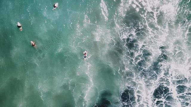 海水中的冲浪者背景图片