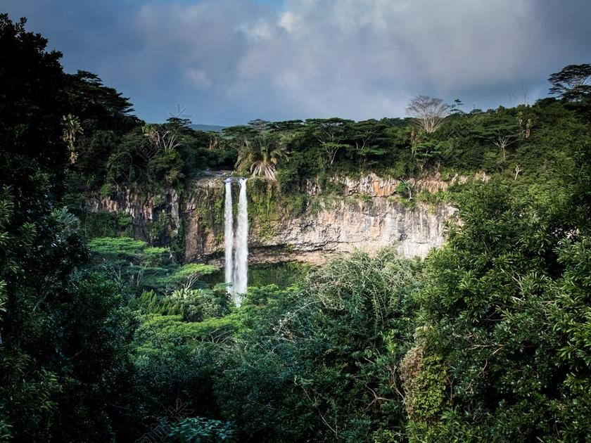 美女 丽人 优雅 美丽 漂亮 女孩 女人 女性 树木 丛林 森林 自然 环境 树 树木 树林 森林
