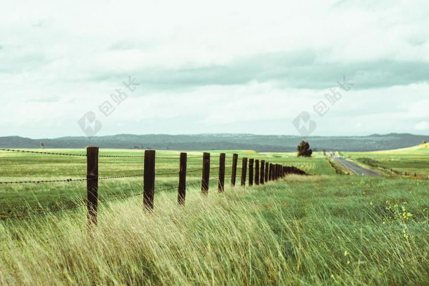 风景 风光 美景 田园 山水 道路 旅途 路途 户外 街道 公路 花园 园林 园艺 植物 花 家 家园 家居 故乡 美丽 休闲 草地 草坪 草丛 树木 丛林 森林 自然 环境 动物