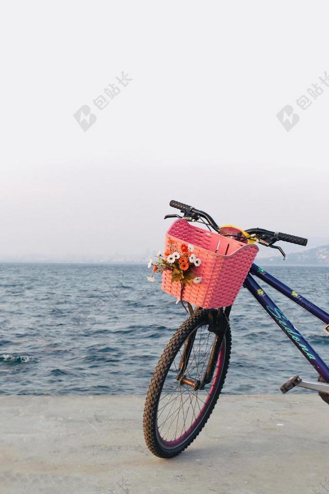 花 玫瑰 美丽 花朵 自行车 骑行 山地车 冒险 旅行 旅游 行程 度假 休闲 度假 假日  天空 海 海水 大海  云 云朵 天空  雨 下雨 惬意