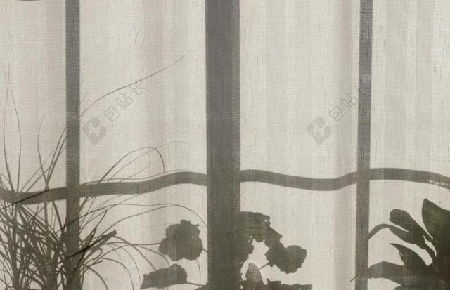 花 玫瑰 美丽 花朵 夜晚 晚上 黑夜 黑暗 灯光 霓虹灯 农场 农田 庄园 灯光 光线 激光 打火机 纹理 组织 材料 花纹 爱情 恋爱 恋人 情人 情侣 浪漫 室内 室内装修 装潢 艺术设计 家装 睡觉 梦乡 做梦 卧室 可爱的 自然 环境 窗户 白色 浅色 黑白 简单 清新 黑色 暗色 黑白 昏暗