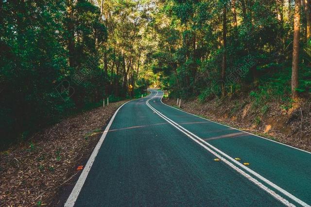 风景 风光 美景 田园 山水 道路 旅途 路途 户外 街道 公路 自然 环境 树 树木 树林 森林