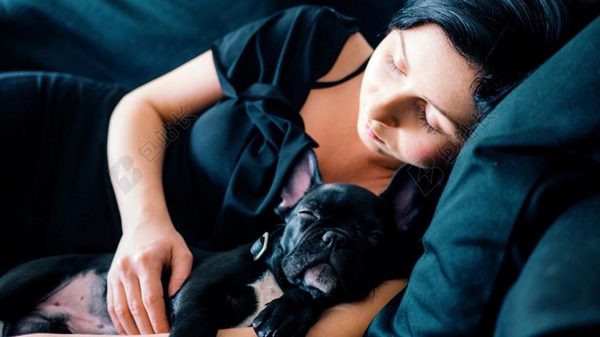 美女 丽人 优雅 美丽 漂亮 女孩 女人 女性 爱情 恋爱 恋人 情人 情侣 浪漫  家 家园 家居 故乡 美丽 休闲 睡觉 梦乡 做梦 卧室 情侣 伴侣 爱情 女孩 少女 姑娘 美丽 动物 可爱的 全身像 狗  自然 环境 女性 女士 美丽 女人