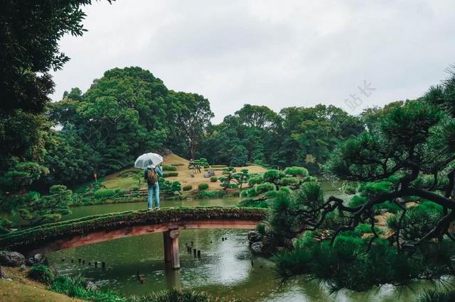 花园 园林 园艺 植物 花 树木 丛林 森林 雨 下雨 惬意 树 树木 树林 森林 男士 男性 男人 日本 城市 现代生活
