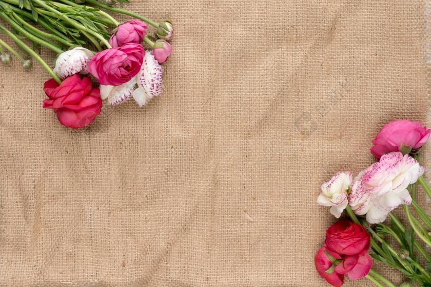 商务 商人 电子商务 股票交易所 业务 工作 办公室 工作室 工作 职场 星空 太空 空间  花 玫瑰 美丽 花朵 购物 商场 流行 时尚 美丽 商场 店铺 商家 购物 冒险 探险 远足 度假 旅游 休闲 挑战 极限运动 房子 房间 住宅 写字 文章 书籍 空白 留白 服装 服饰 流行