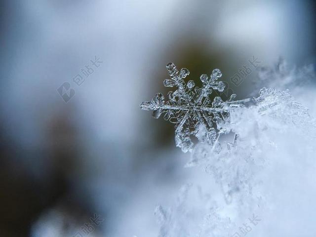 冬天透明的雪花背景图片