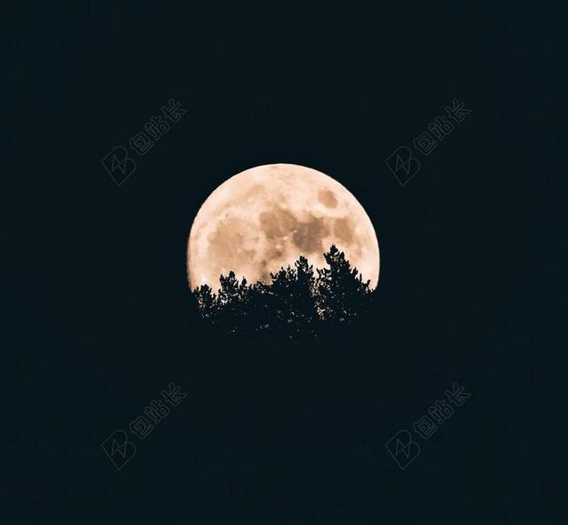 谈话 交流 对话 沟通 通话     星空 太空 空间  星空 星星 闪光 明星  夜晚 晚上 黑夜 黑暗 灯光 霓虹灯  风景 风光 美景 田园 山水 爱情 恋爱 恋人 情人 情侣 浪漫 朋友 友谊 友情 天空 树木 丛林 森林 自然 环境 全身像 树 树木 树林 森林 活力 人物 人群 风土人情 黑色 暗色 黑白 昏暗