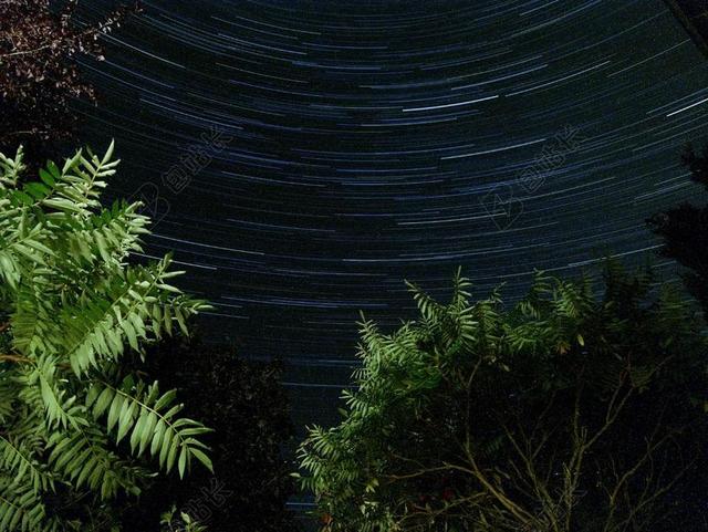 成功 成就 成绩 胜利 商务 职场 星空 星星 闪光 明星   星空 太空 空间  夜晚 晚上 黑夜 黑暗 灯光 霓虹灯 树木 丛林 森林 自然 环境  树 树木 树林 森林