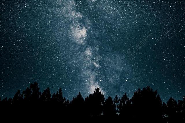 星空 星星 闪光 明星    星空 太空 空间   夜晚 晚上 黑夜 黑暗 灯光 霓虹灯 天空 树木 丛林 森林 音乐 音乐会 演唱会 自然 环境 树 树木 树林 森林  白色 浅色 黑白 简单 清新