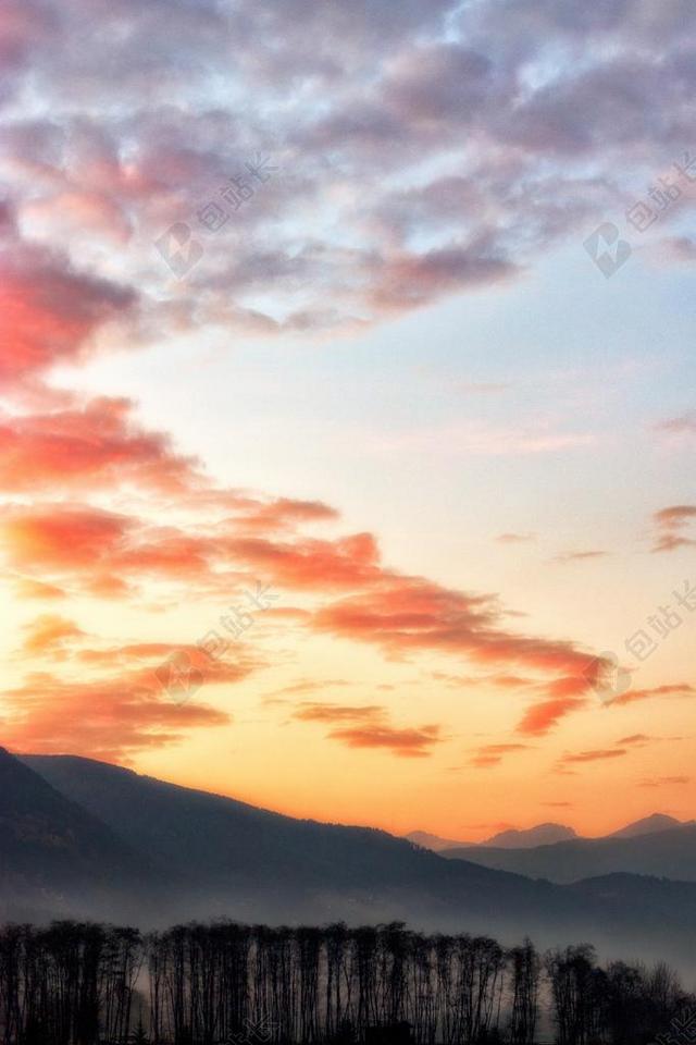 星空 太空 空间 日落 夕阳 太阳  天空 树木 丛林 森林 树 树木 树林 森林