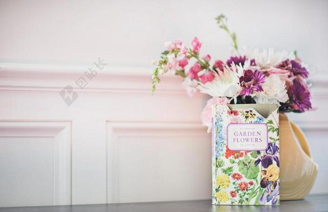 花 玫瑰 美丽 花朵 墙 围墙 表面 隔阂 背景 花园 园林 园艺 植物 花  房子 房间 住宅 桌子 台子 书桌 办公 白色 浅色 黑白 简单 清新
