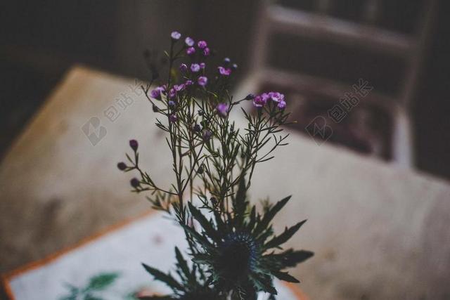 花 玫瑰 美丽 花朵 复古 酿酒 古典 收获 室内 室内装修 装潢 艺术设计 家装 桌子 台子 书桌 办公