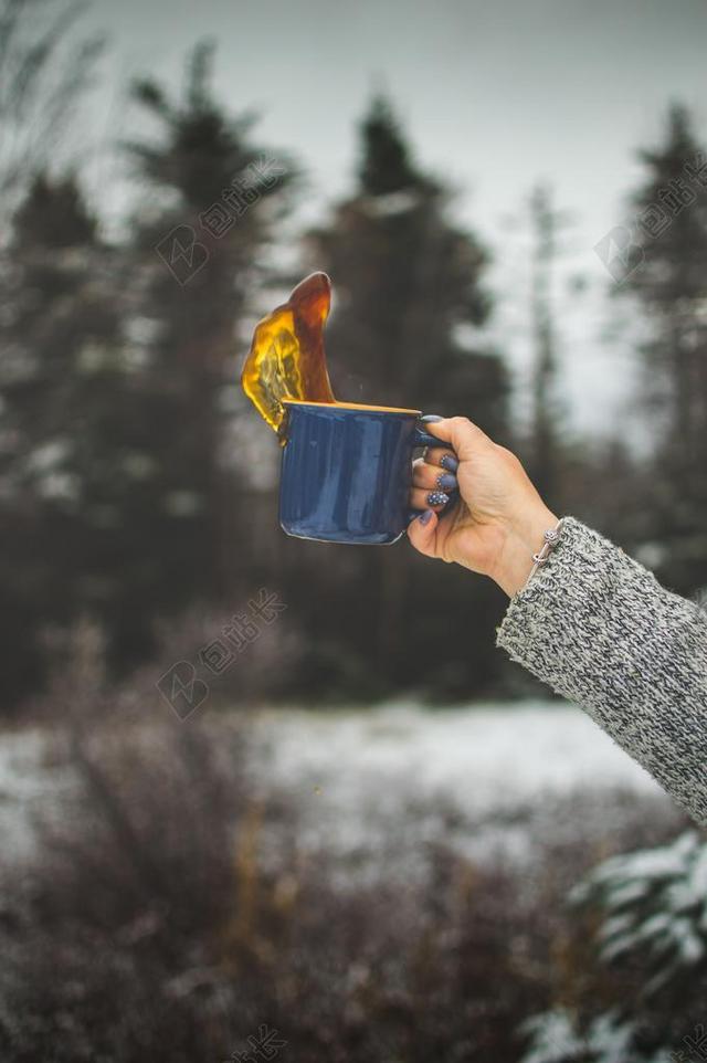 茶 饮茶 茶叶 茶文化 咖啡 咖啡厅 咖啡馆 冬季 冬天 新年  树木 丛林 森林  加拿大 城市 城市生活 现代化