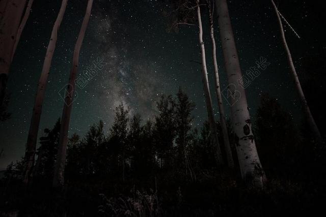 星空 星星 闪光 明星         星空 太空 空间 夜晚 晚上 黑夜 黑暗 灯光 霓虹灯 风景 风光 美景 田园 山水 灯光 光线 激光 打火机 墙 围墙 表面 隔阂 背景 树木 丛林 森林 天空 自然 环境 树 树木 树林 森林 山 山峦 山峰