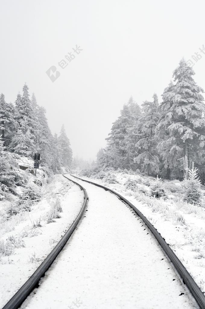风景 风光 美景 田园 山水 道路 旅途 路途 户外 街道 公路 美女 丽人 优雅 美丽 漂亮 女孩 女人 女性  树木 丛林 森林 自然 环境 树 树木 树林 森林 白色 浅色 黑白 简单 清新 黑色 暗色 黑白 昏暗