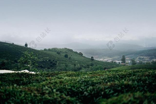 绿色山坡和阴天背景图片